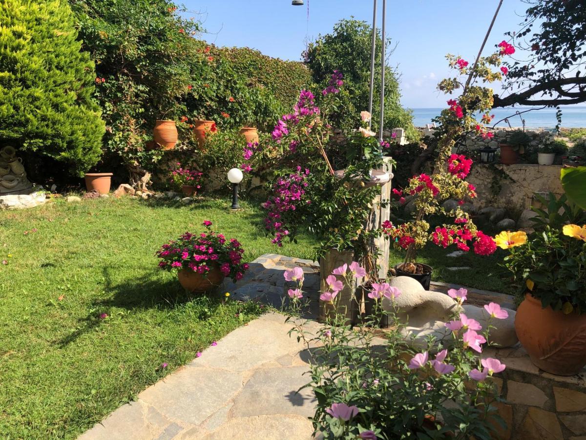 Asterias Studios & Apartments Kalyves Dış mekan fotoğraf