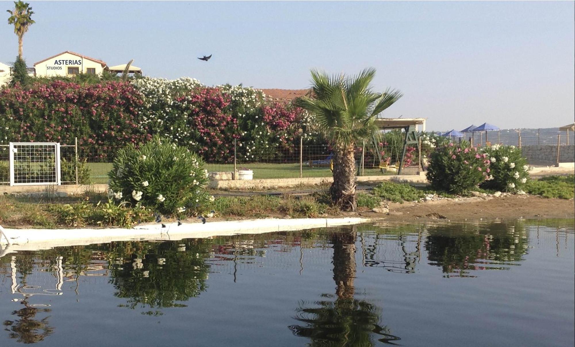 Asterias Studios & Apartments Kalyves Dış mekan fotoğraf