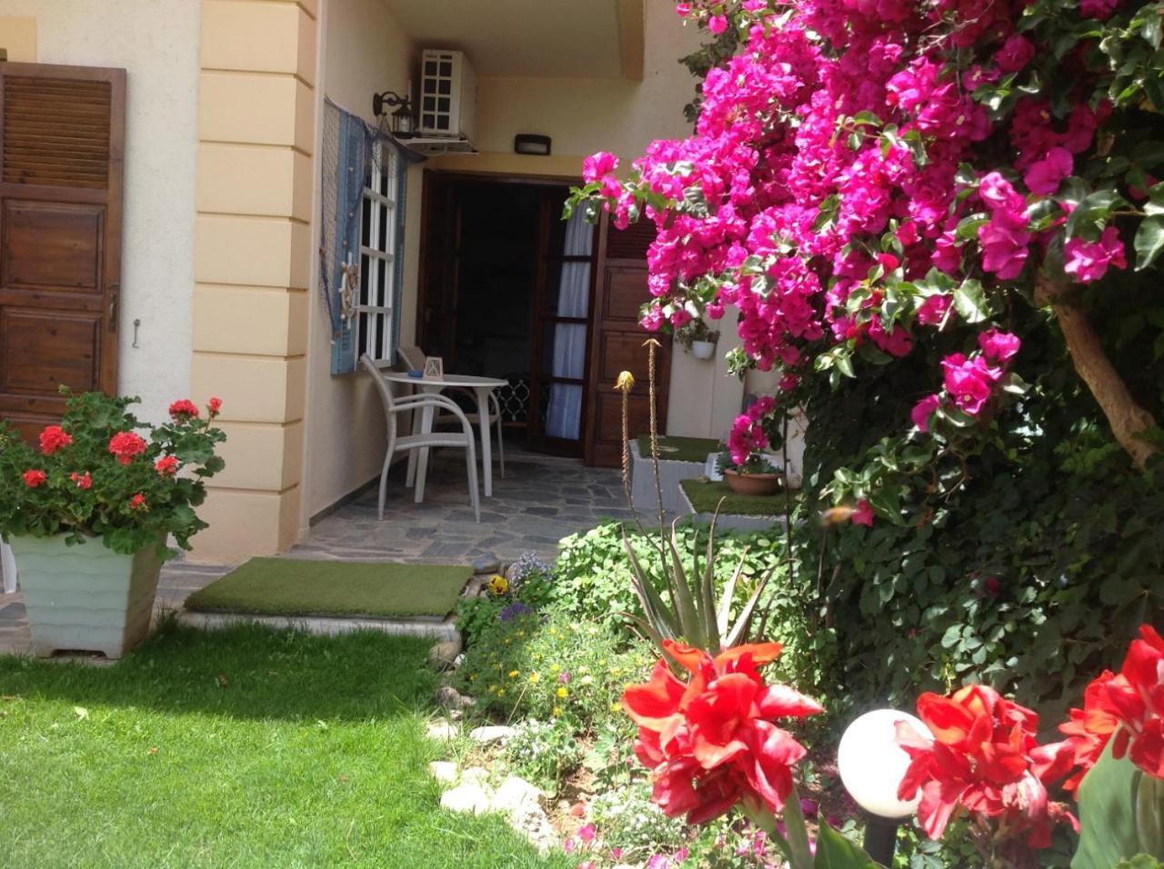 Asterias Studios & Apartments Kalyves Dış mekan fotoğraf